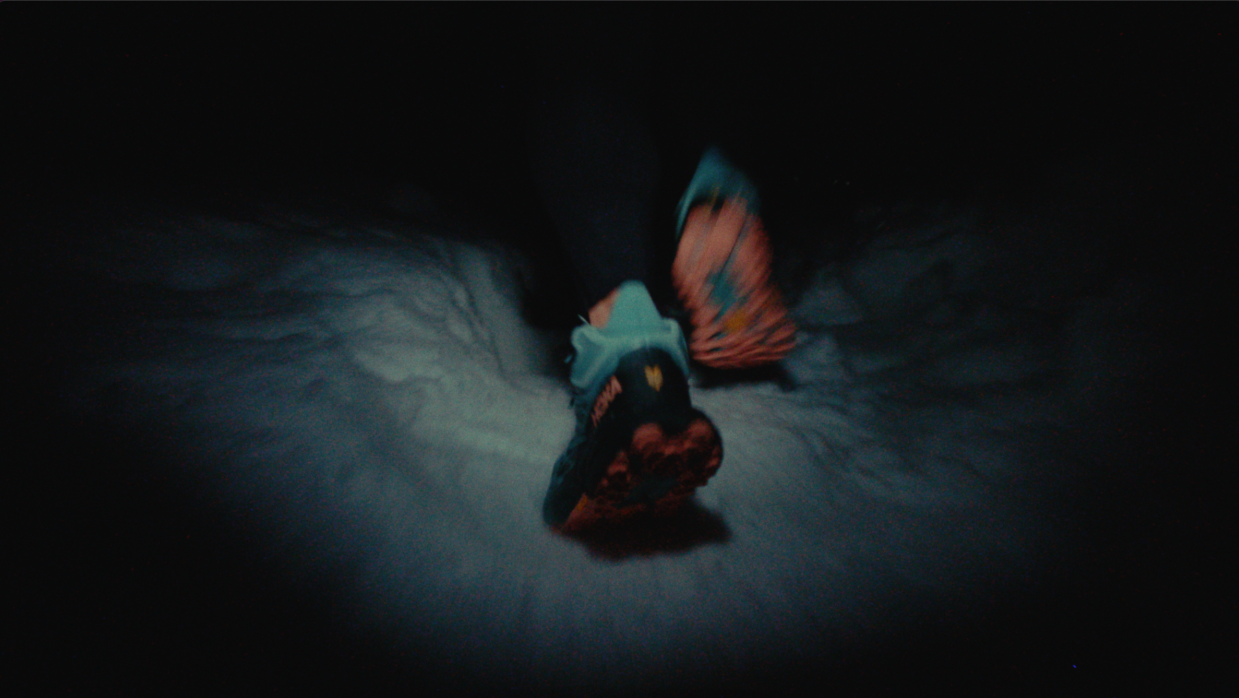 Screen Shot 2026-02-16 at 9.46.47 PM.png