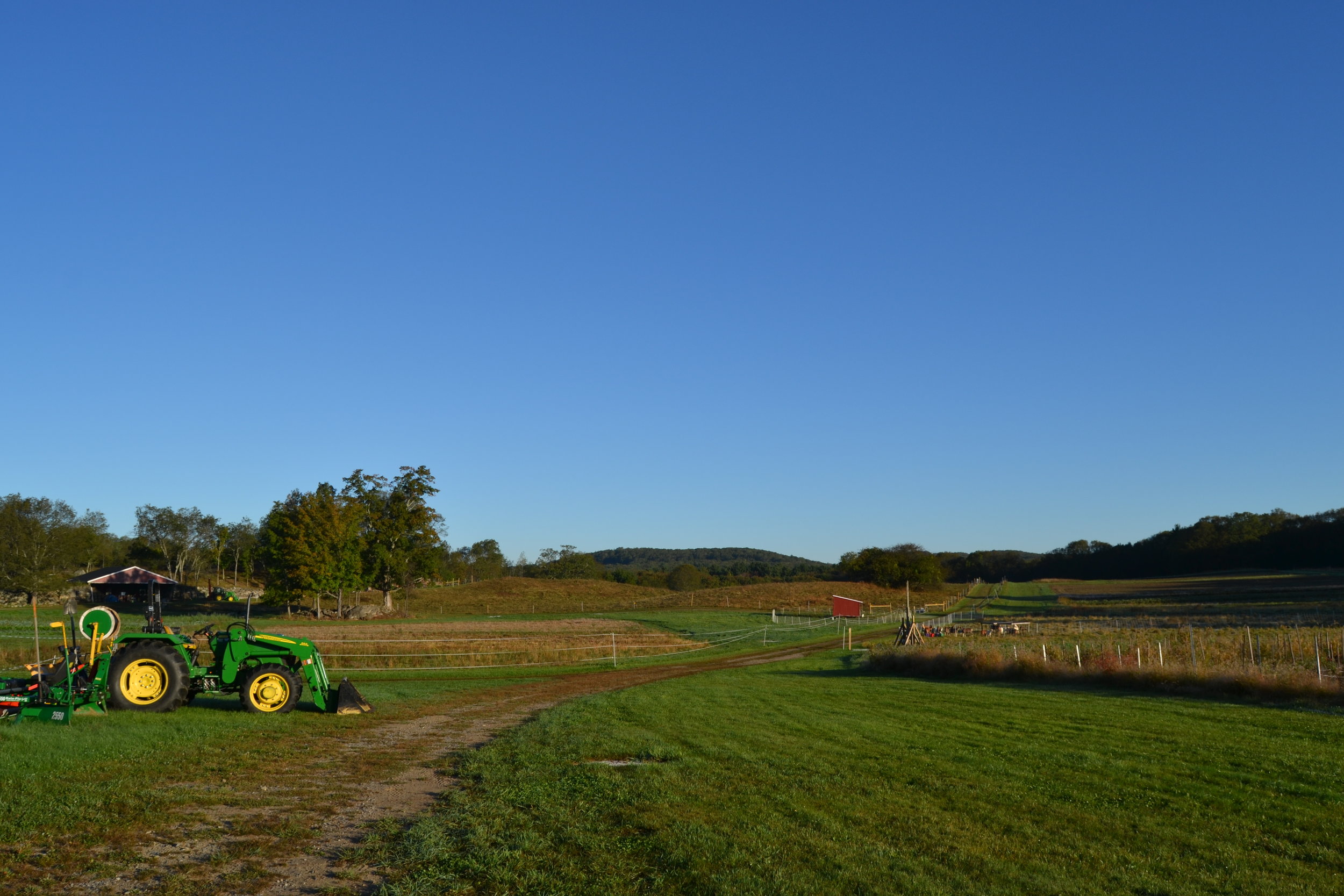 Fall Surprises in Southborough