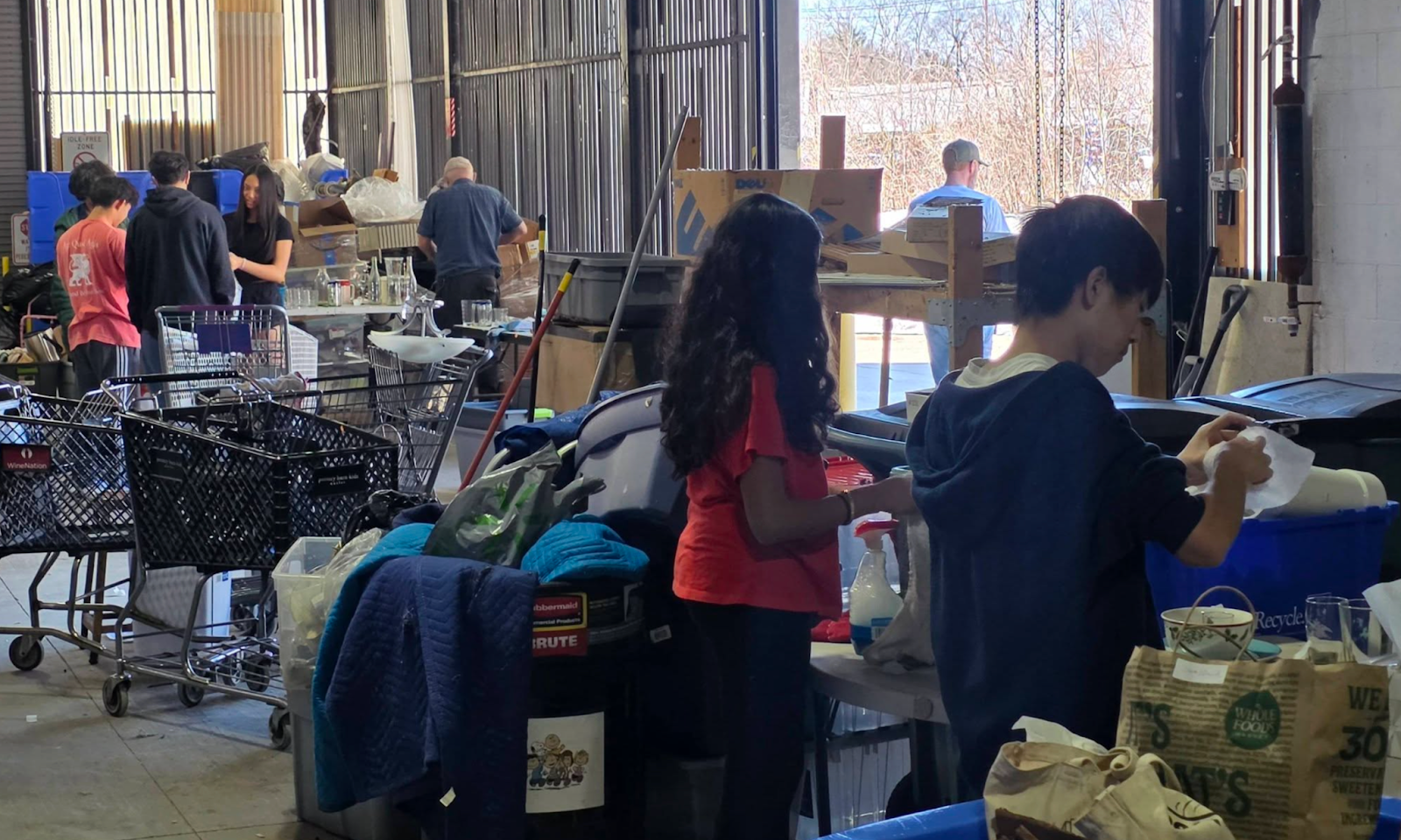 III Form Lion Term_2.png