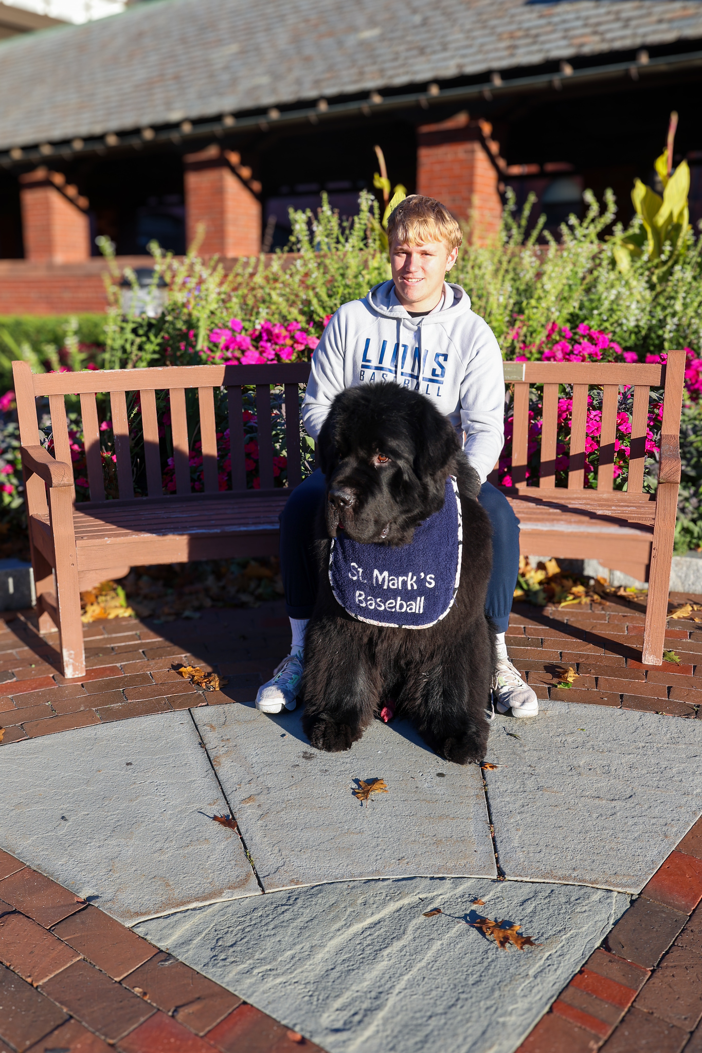 Storm, the Newfoundland described in the article
