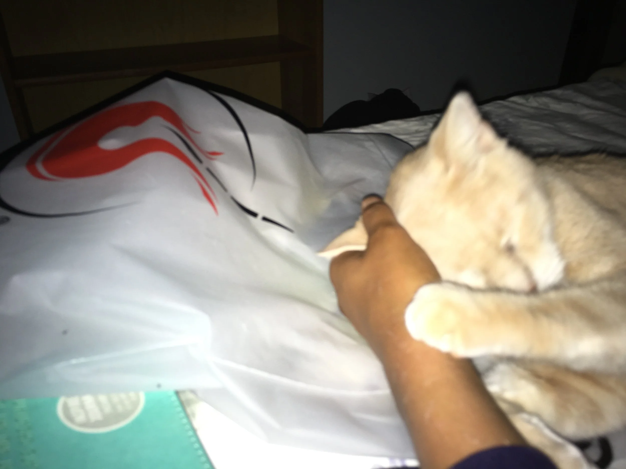 IMG_3669.jpeg
