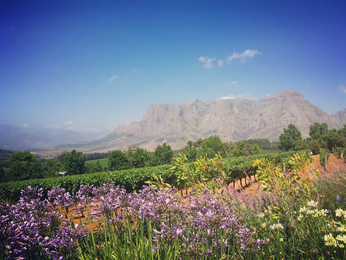 Winelands &amp; Cape of Good Hope