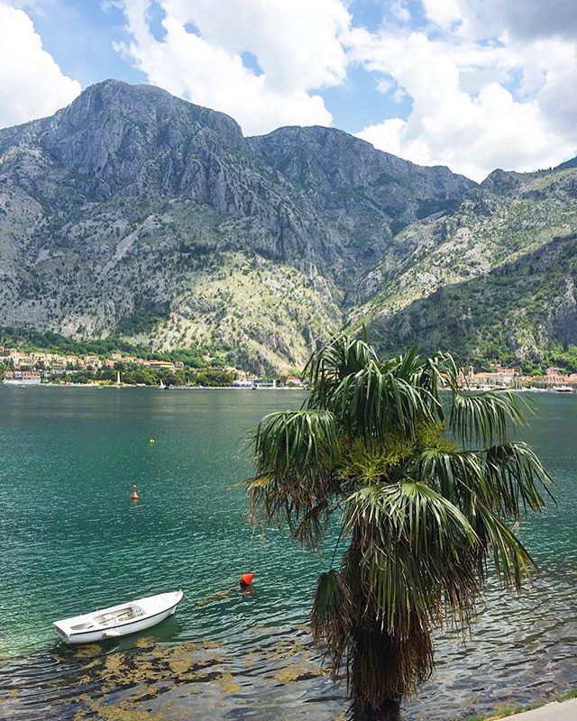 Crna Gora. May in Montenegro 🇲🇪