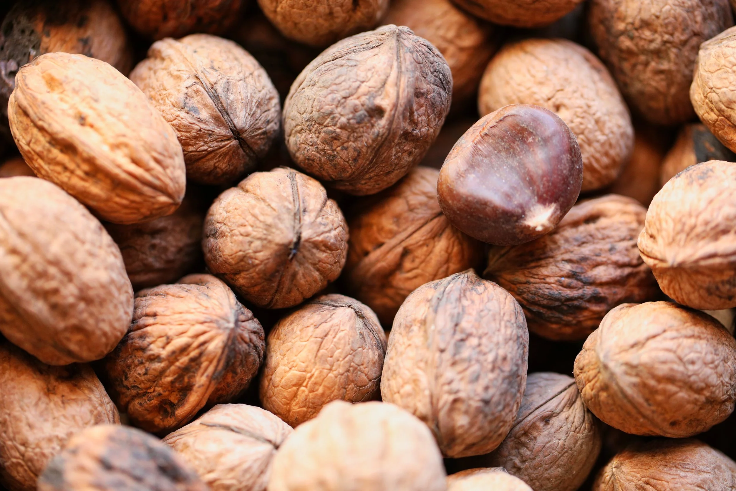 Get unstuck and breakthrough with walnut flower essence