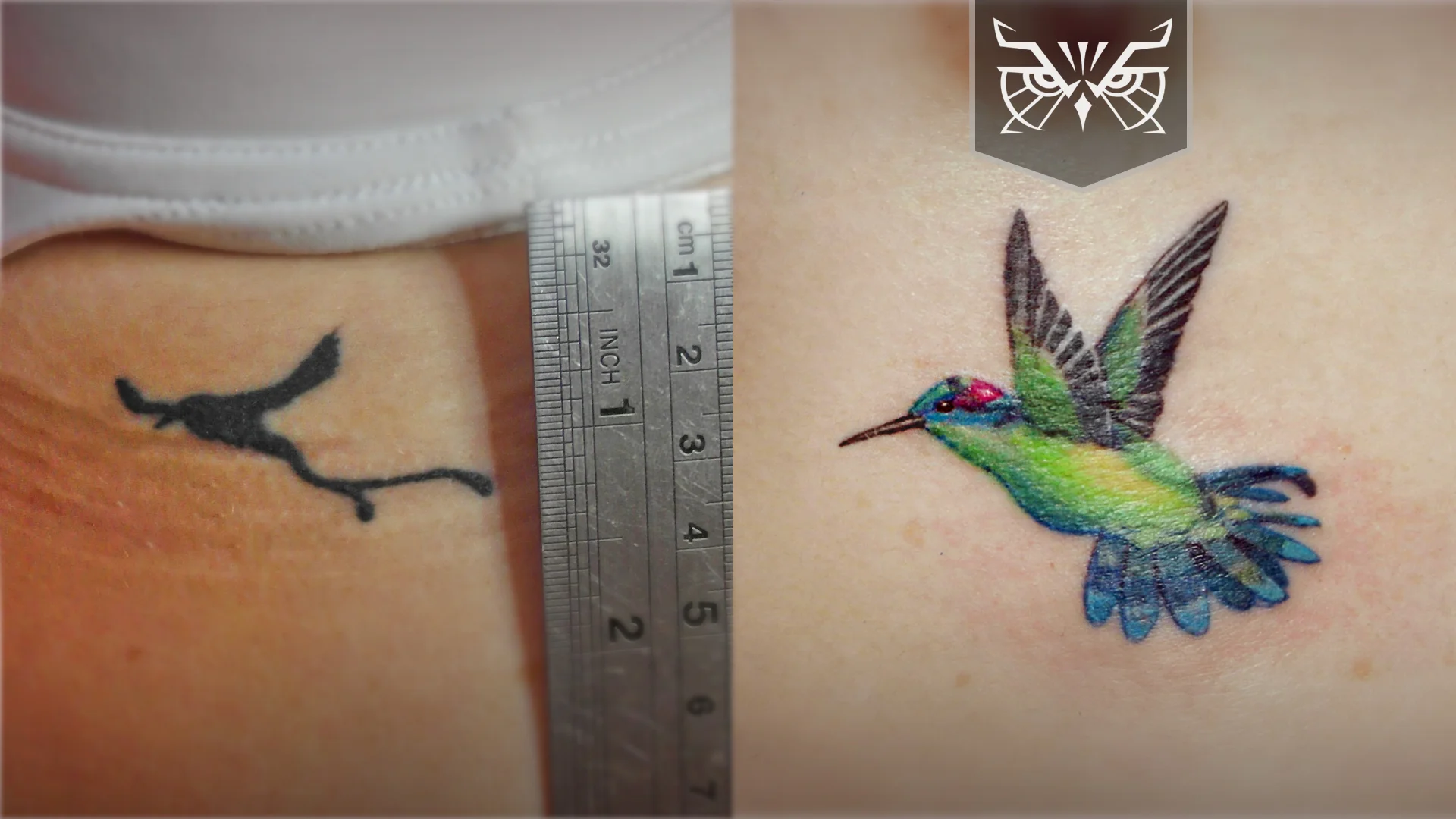 cover-up colibrí.jpg