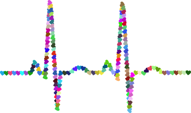 electrocardiogram-2858691_640.png