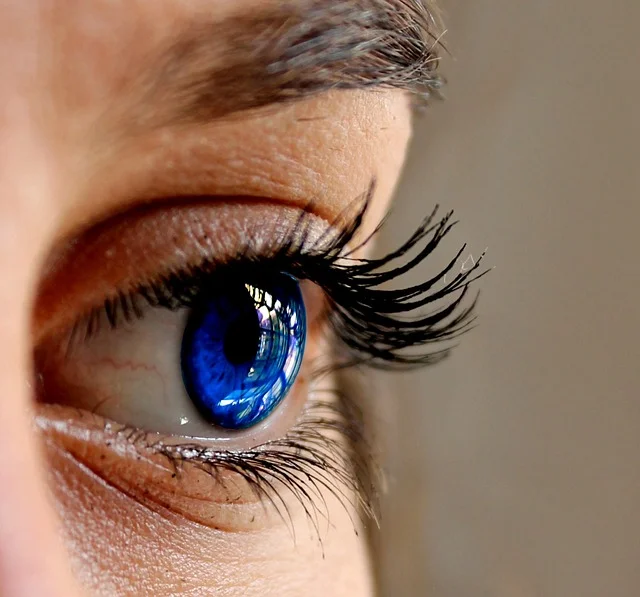 eyes-2843185_640.jpg
