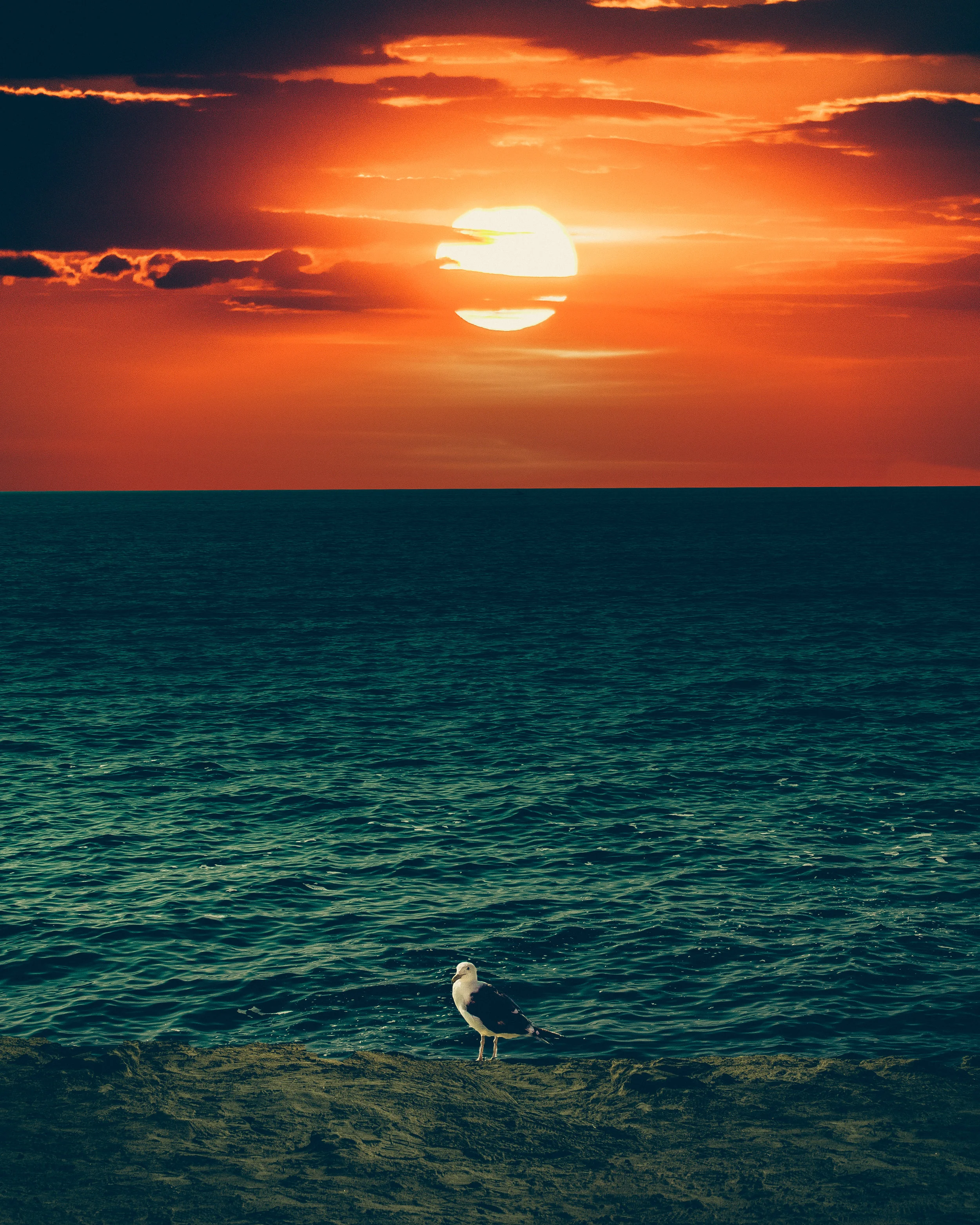 IMG_1484-Edit.jpg