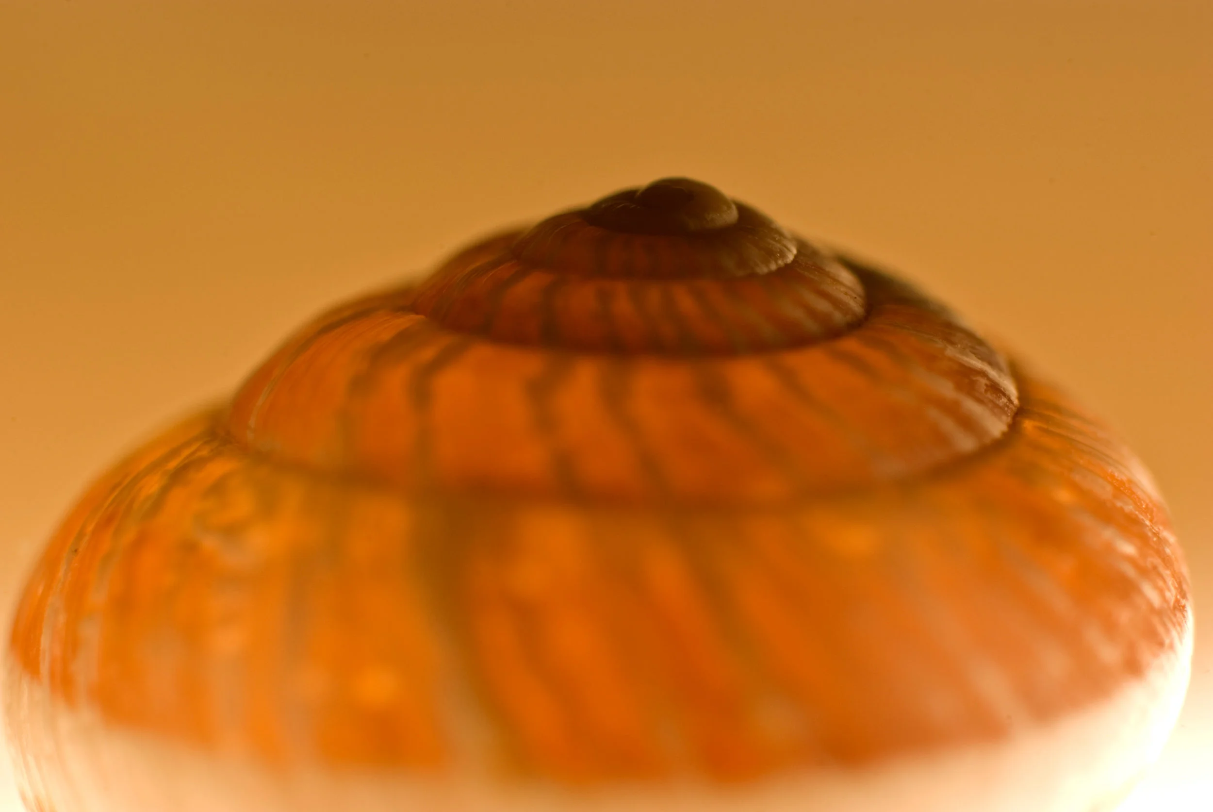 iStock-525610857.jpg