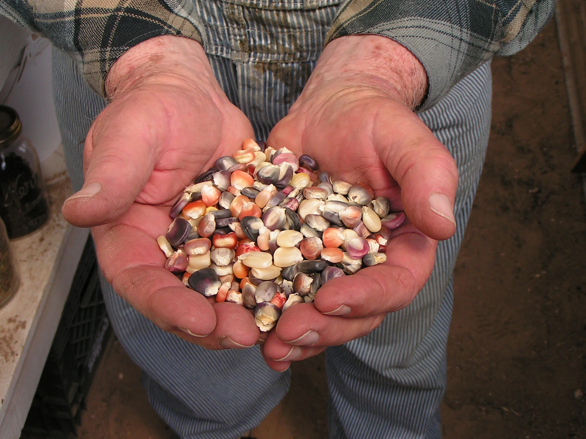 Planting Stick Project