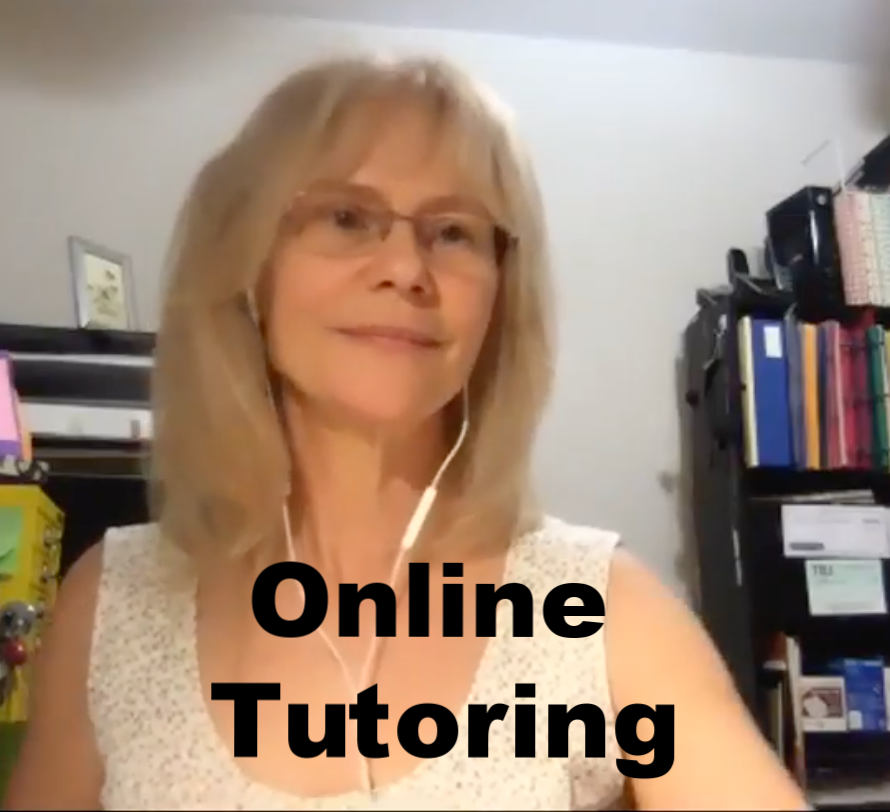 onlinetutorshotmirror.png