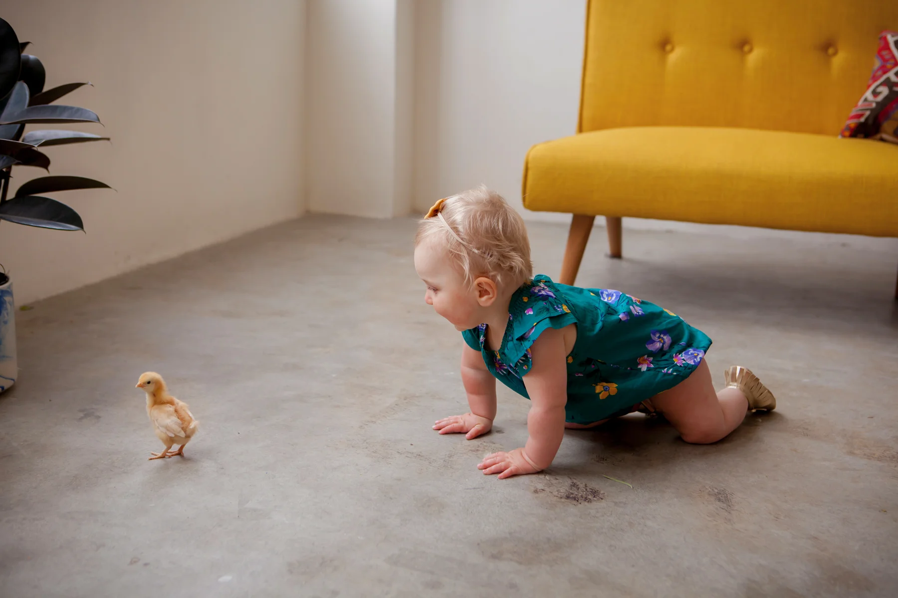 seattlefamilyphotographer_12.jpg