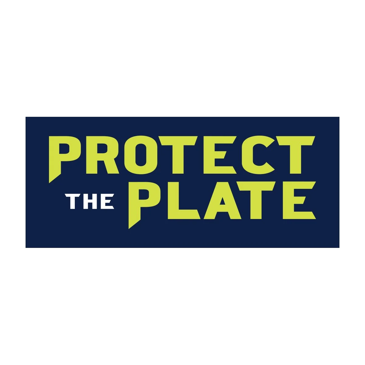 PTP - Wordmark - COLOR.jpg