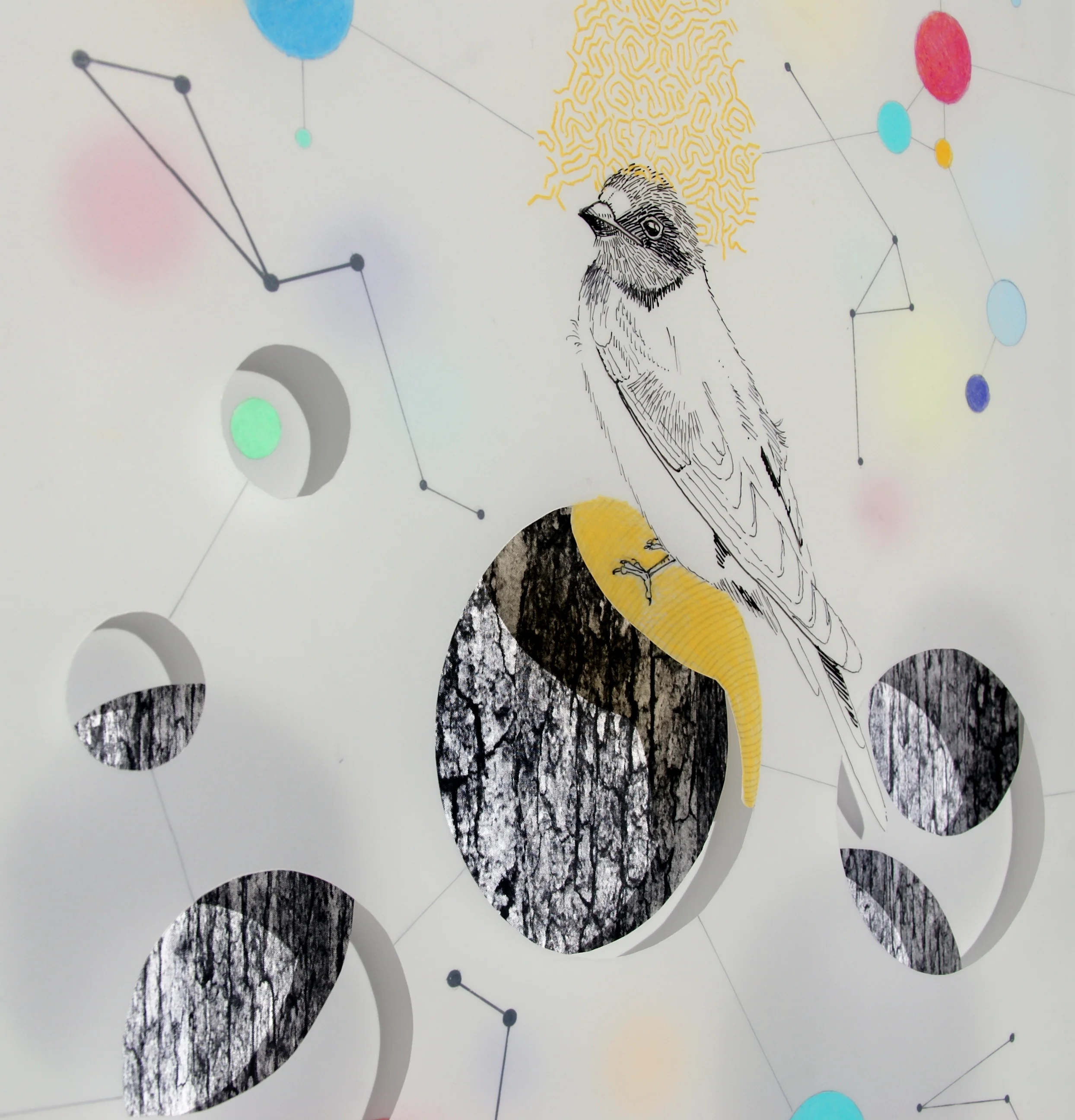CONNECTING THE DOTS - 3 (detail)