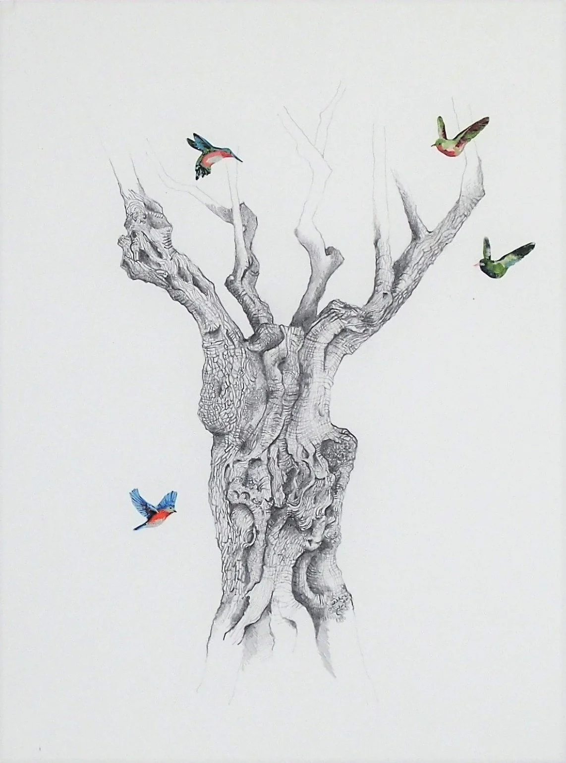 Untold Stories #9 Graphite and oil on paper 16in x 20in (framed) 2019