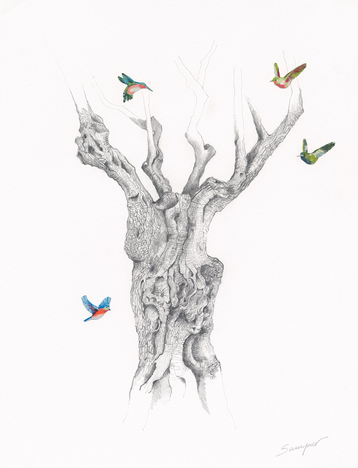  UNTOLD STORIES #9   Oil birds and graphite on paper  20x16in (framed) 
