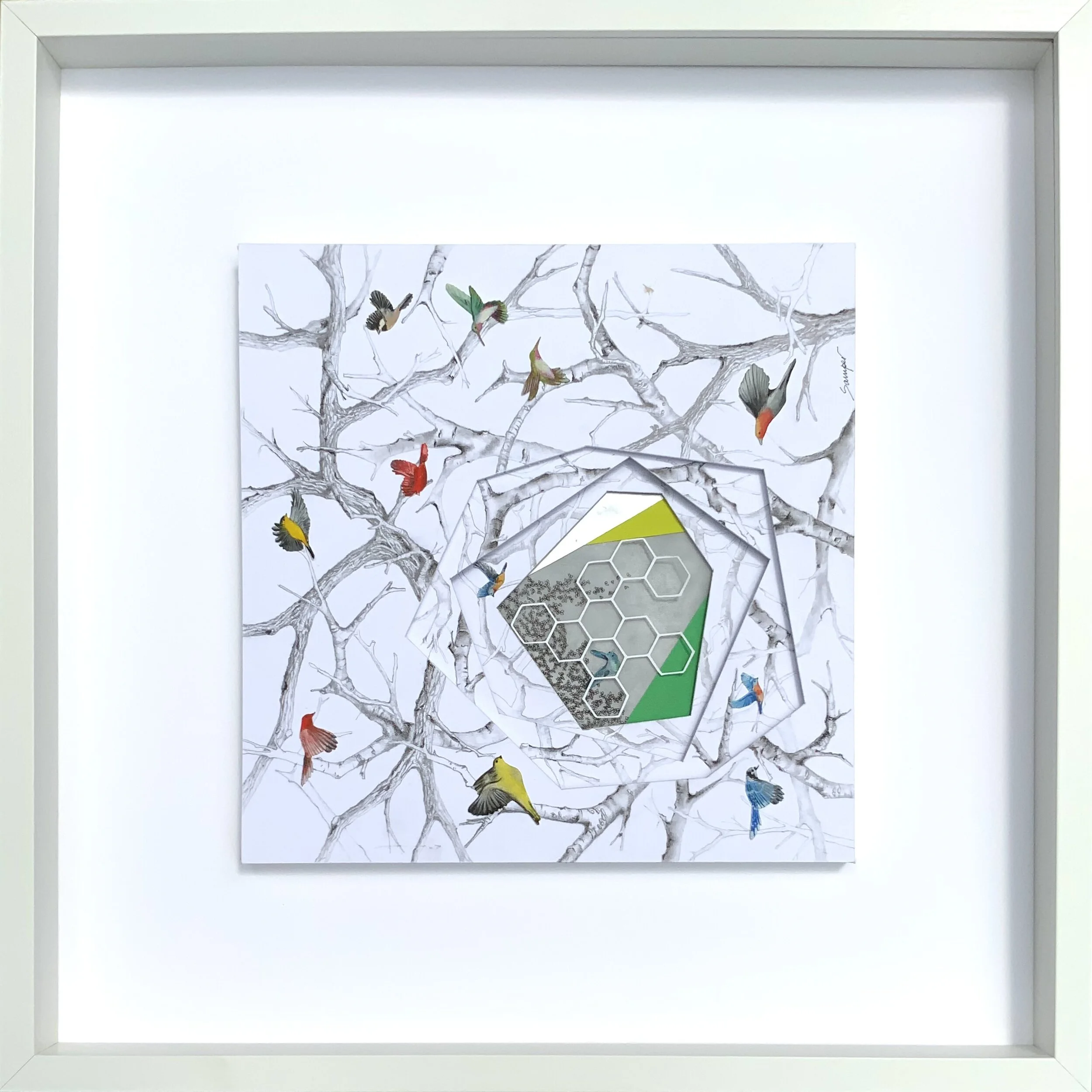URBAN NEST #1