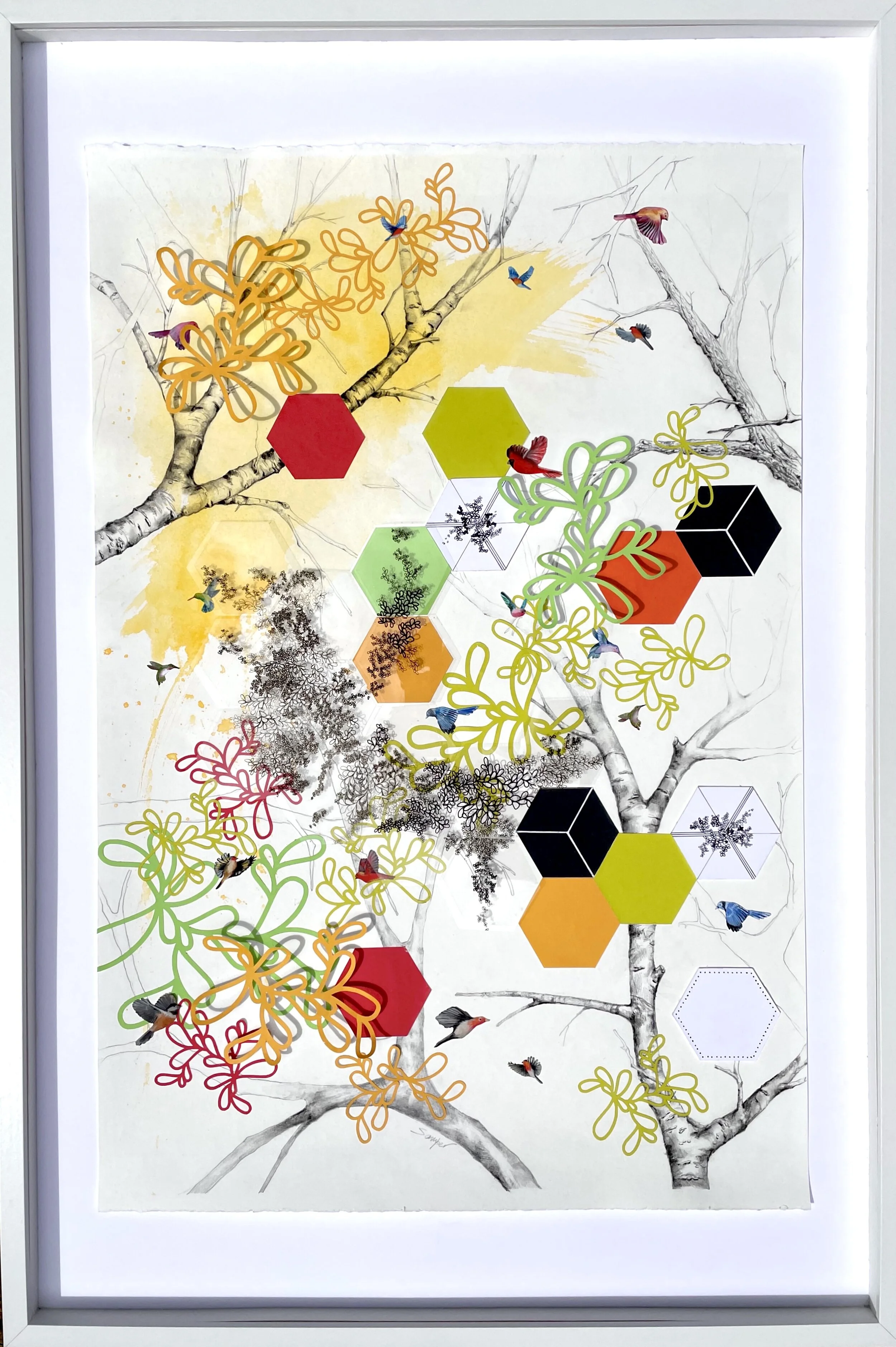  CITY PLAN #1  Layered artwork: Hand-painted oil birds, ink on mylar, graphite, and cut-out paper on watercolor paper   36x28in (framed)  