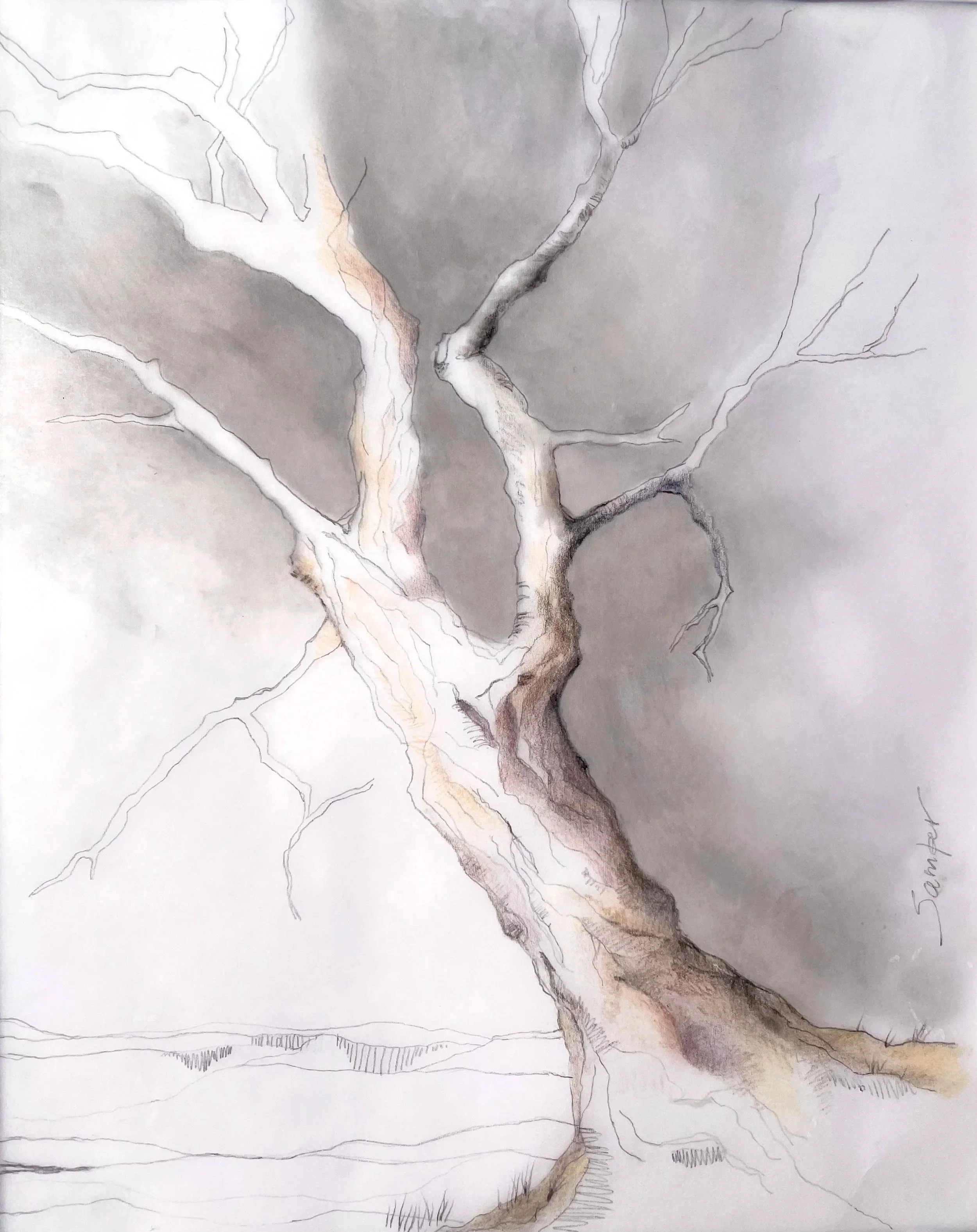 UP-ROOTED # 3