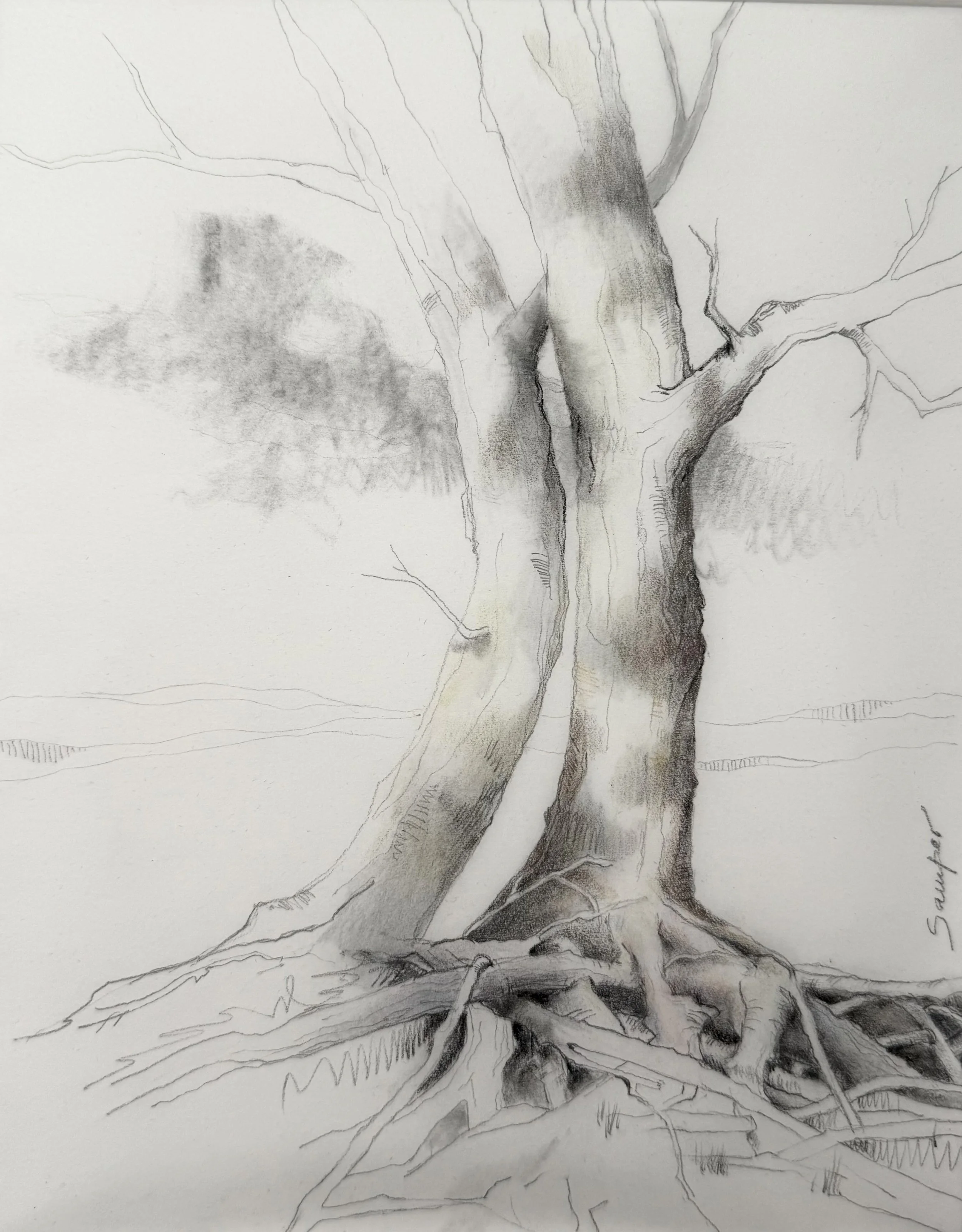 UPROOTED #3