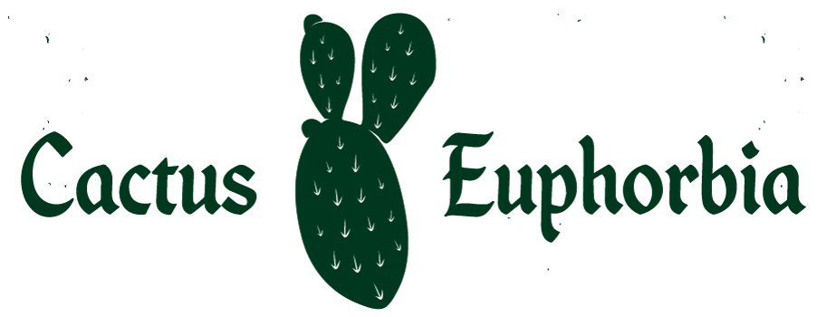 cactieu.png