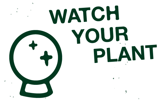 watch.png