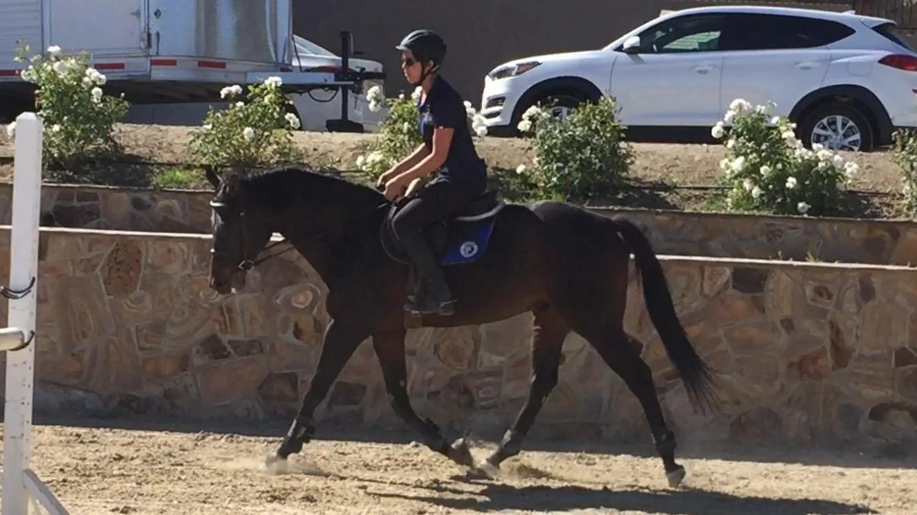 Romeo Riding Club Romeo | Ramsay Equine Select | Temecula, CA