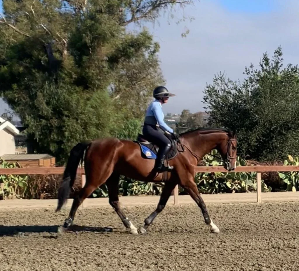 WhatsApp Image 2020-07-24 at 9.44.03 PM.jpeg