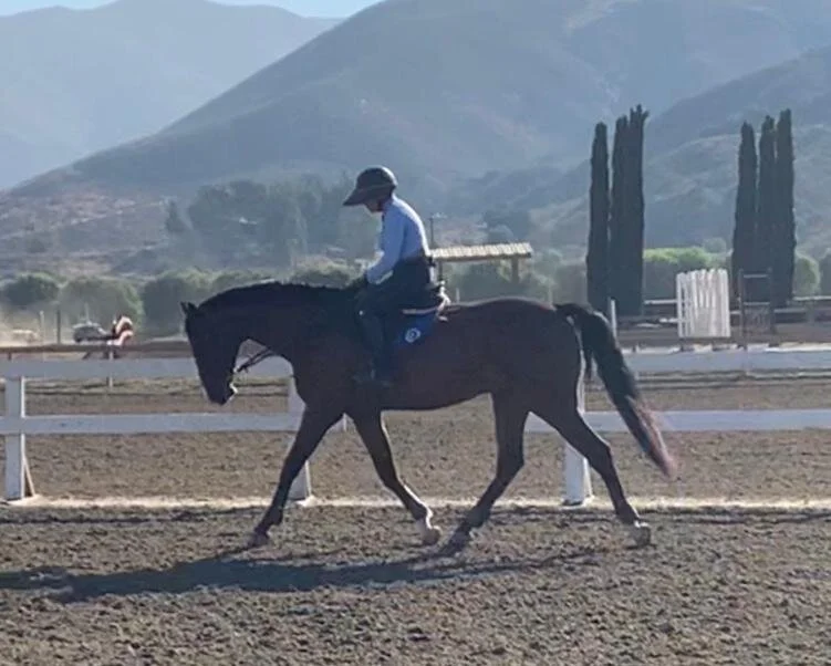 WhatsApp Image 2020-07-24 at 9.44.03 PM.jpeg