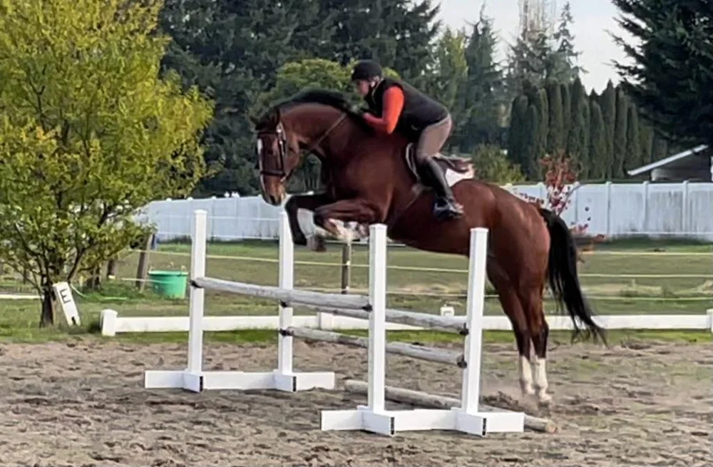 Nate | Ramsay Equine Select | Temecula, CA