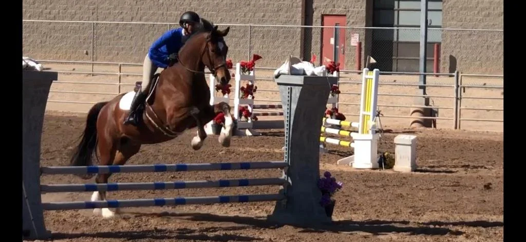 Nate | Ramsay Equine Select | Temecula, CA