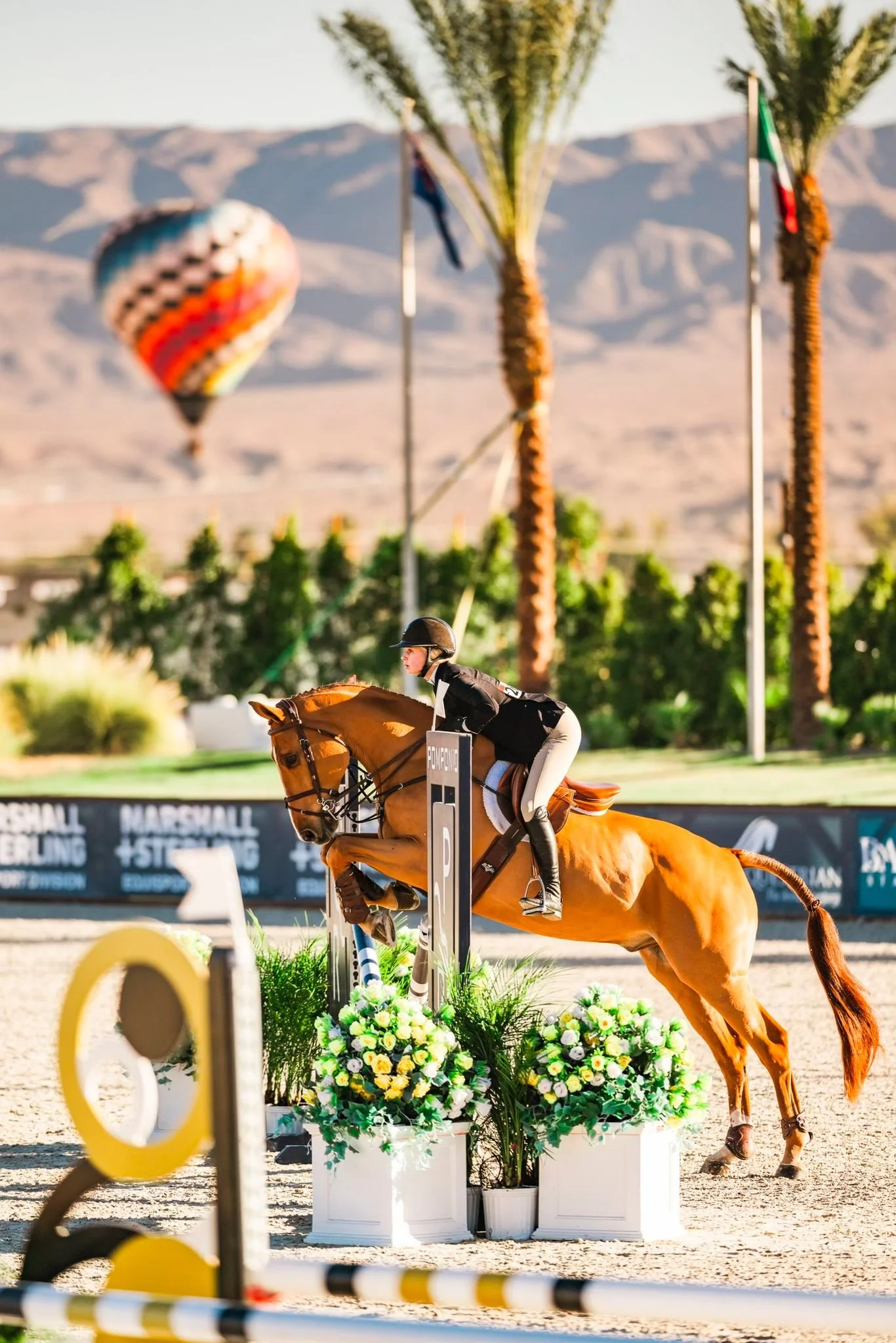 WhatsApp Image 2025-10-27 at 11.52.28.jpeg