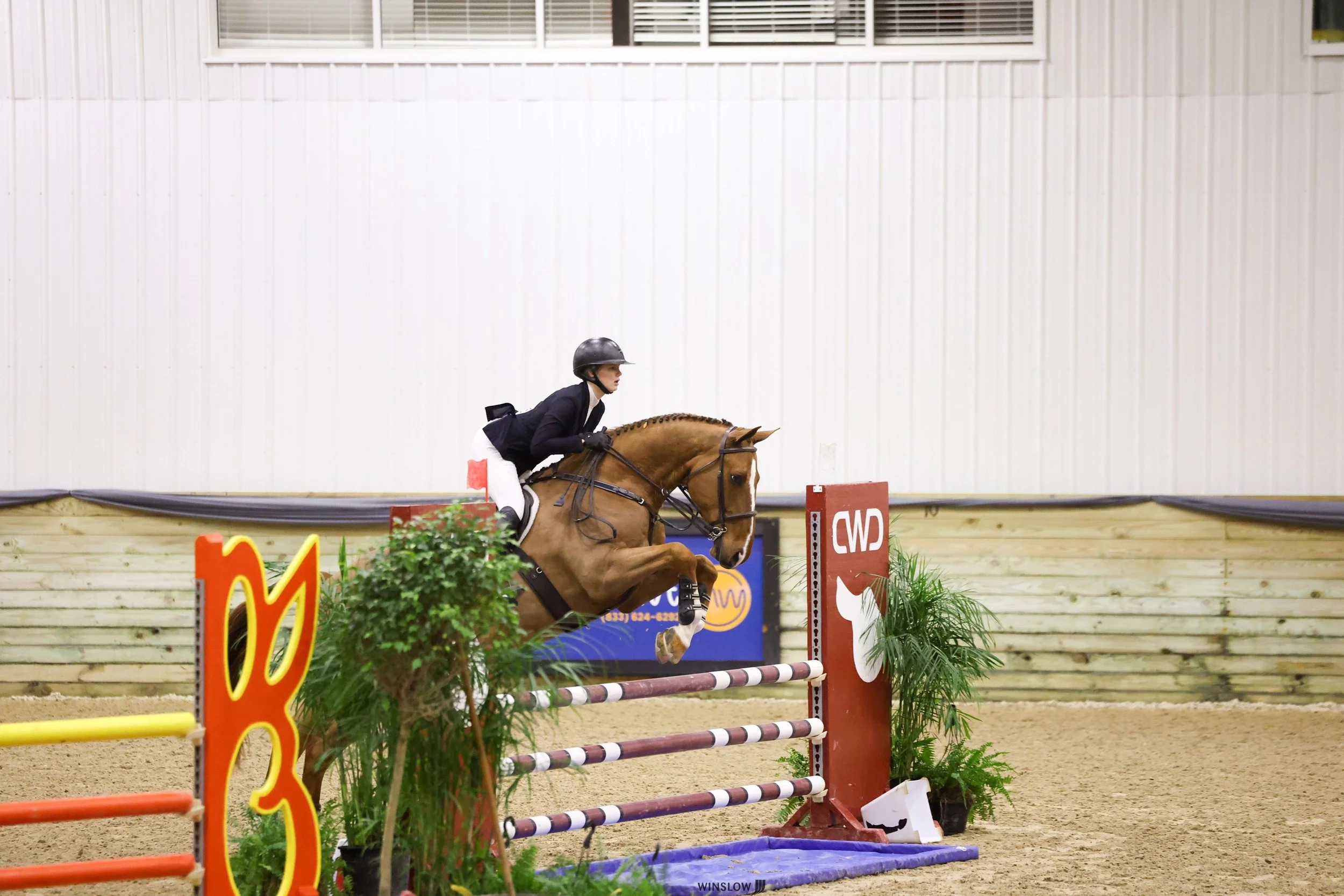 WhatsApp Image 2025-10-23 at 17.22.56.jpeg