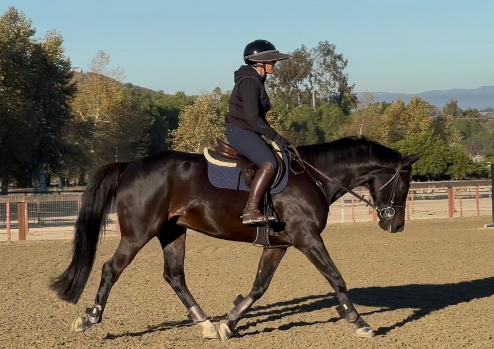 WhatsApp Image 2025-11-08 at 19.42.00.jpeg