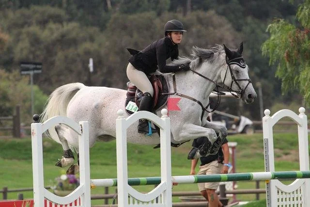 WhatsApp Image 2026-01-14 at 09.06.12 (2).jpeg