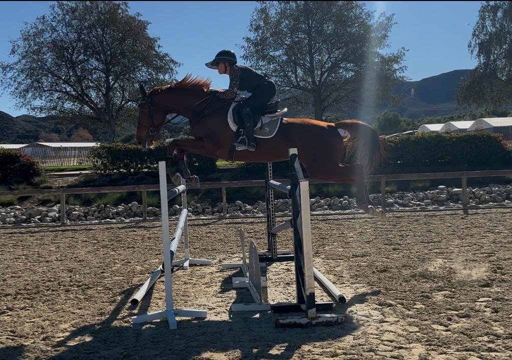 PHOTO-2026-01-16-10-18-05 2.jpg