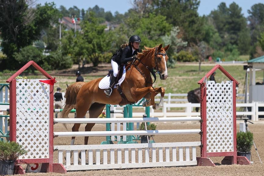 WhatsApp Image 2026-01-27 at 14.16.35 (1).jpeg