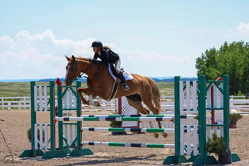 WhatsApp Image 2026-01-27 at 14.16.34 (1).jpeg