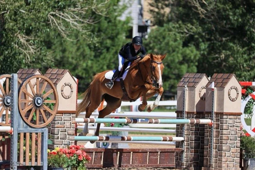 WhatsApp Image 2026-01-27 at 14.16.35 (4).jpeg