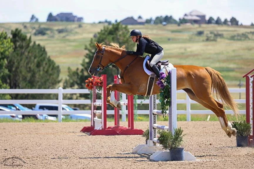 WhatsApp Image 2026-01-27 at 14.16.34.jpeg