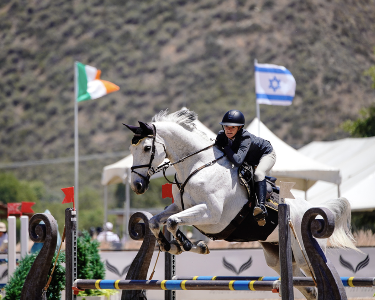 Screenshot 2026-02-18 at 12.39.48 PM.png