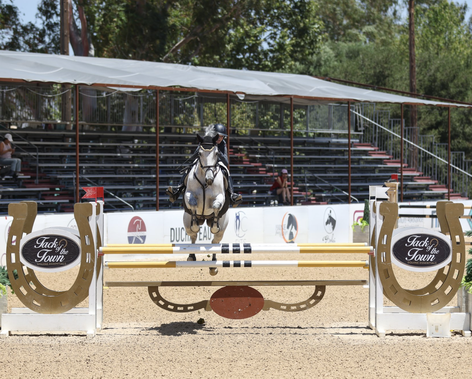 Screenshot 2026-02-18 at 12.39.52 PM.png