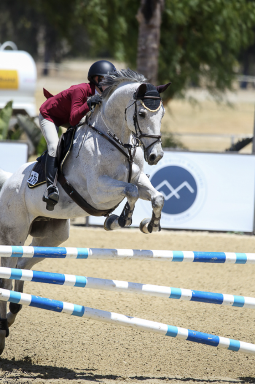 Screenshot 2026-02-18 at 12.40.02 PM.png