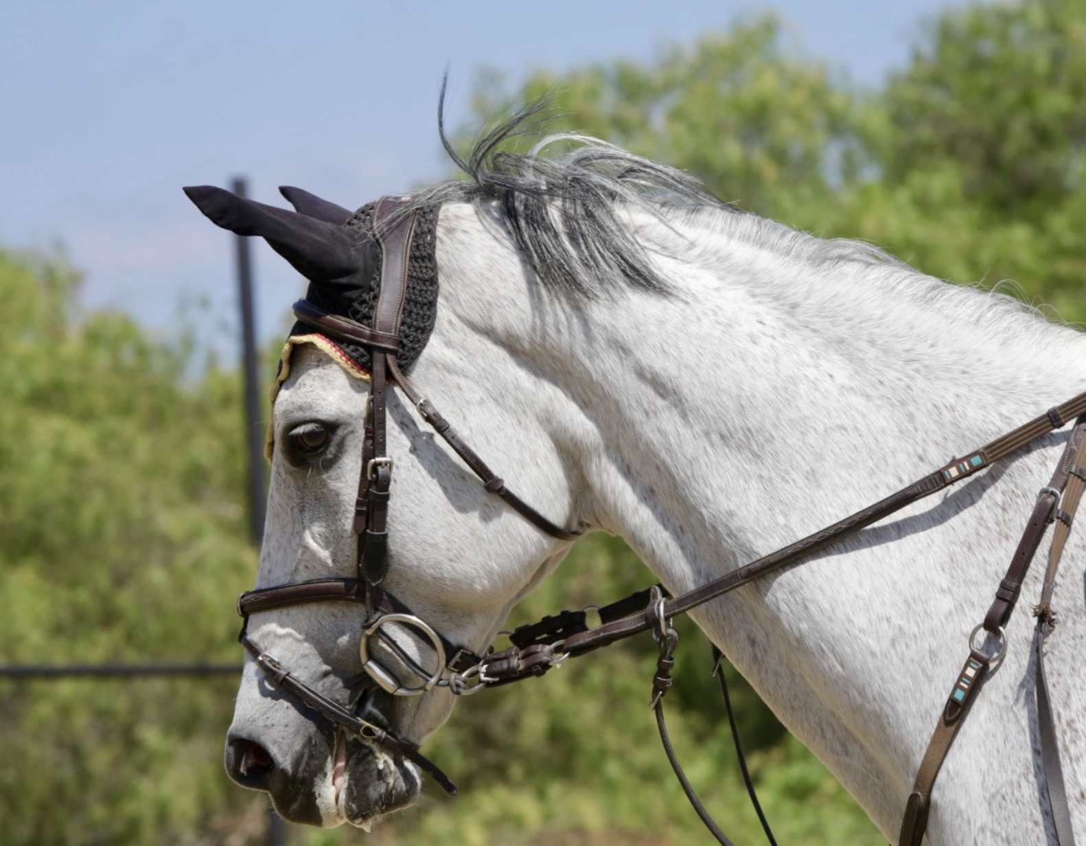 Screenshot 2026-02-18 at 12.39.04 PM.png