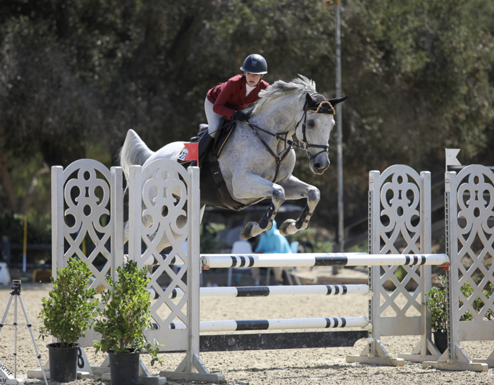 Screenshot 2026-02-18 at 12.38.57 PM.png