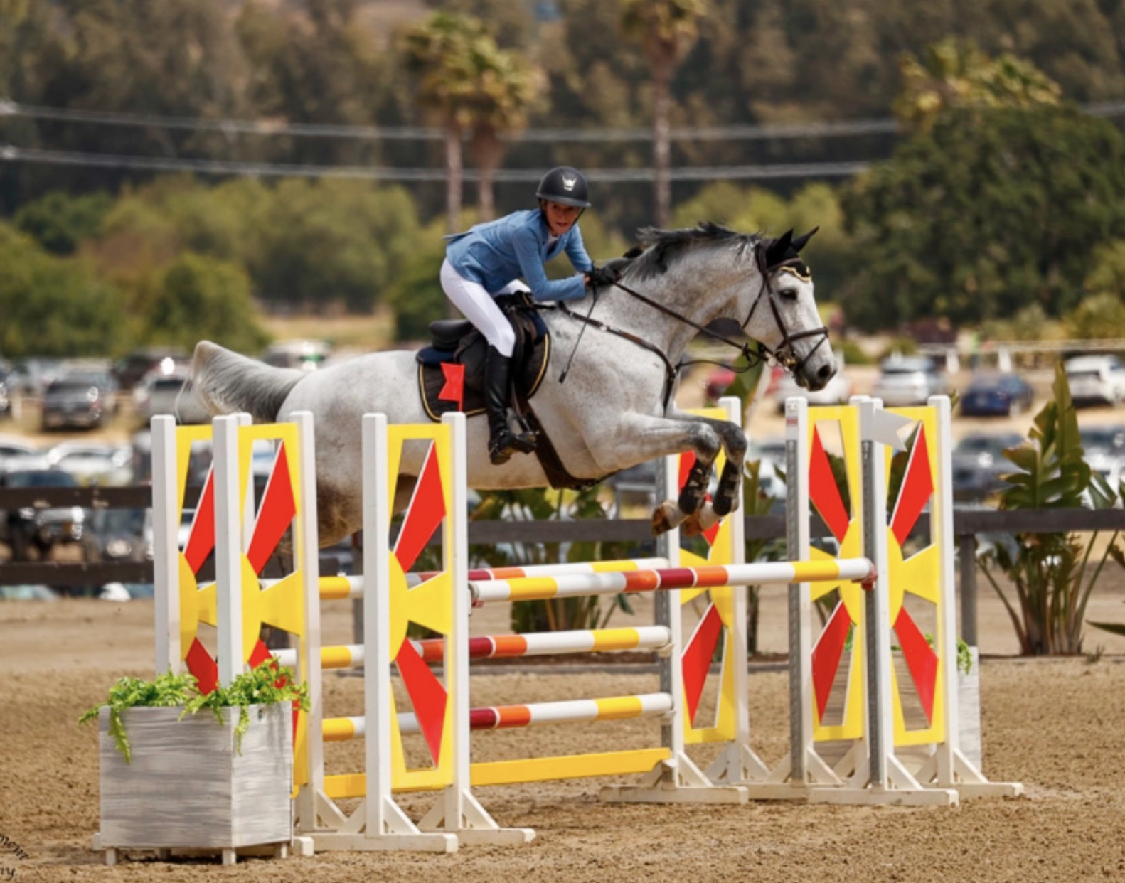 Screenshot 2026-02-18 at 12.38.50 PM.png