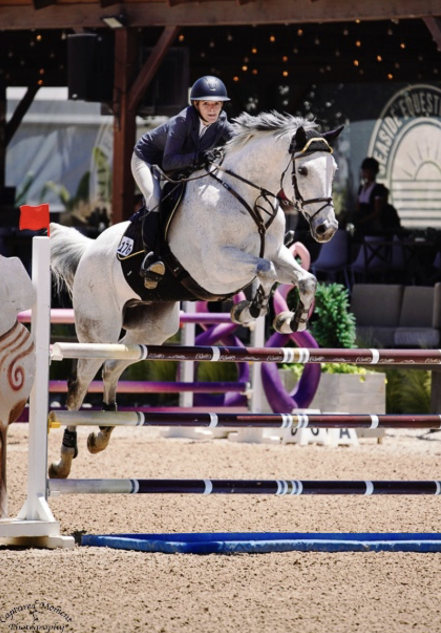 Screenshot 2026-02-18 at 12.39.37 PM.png