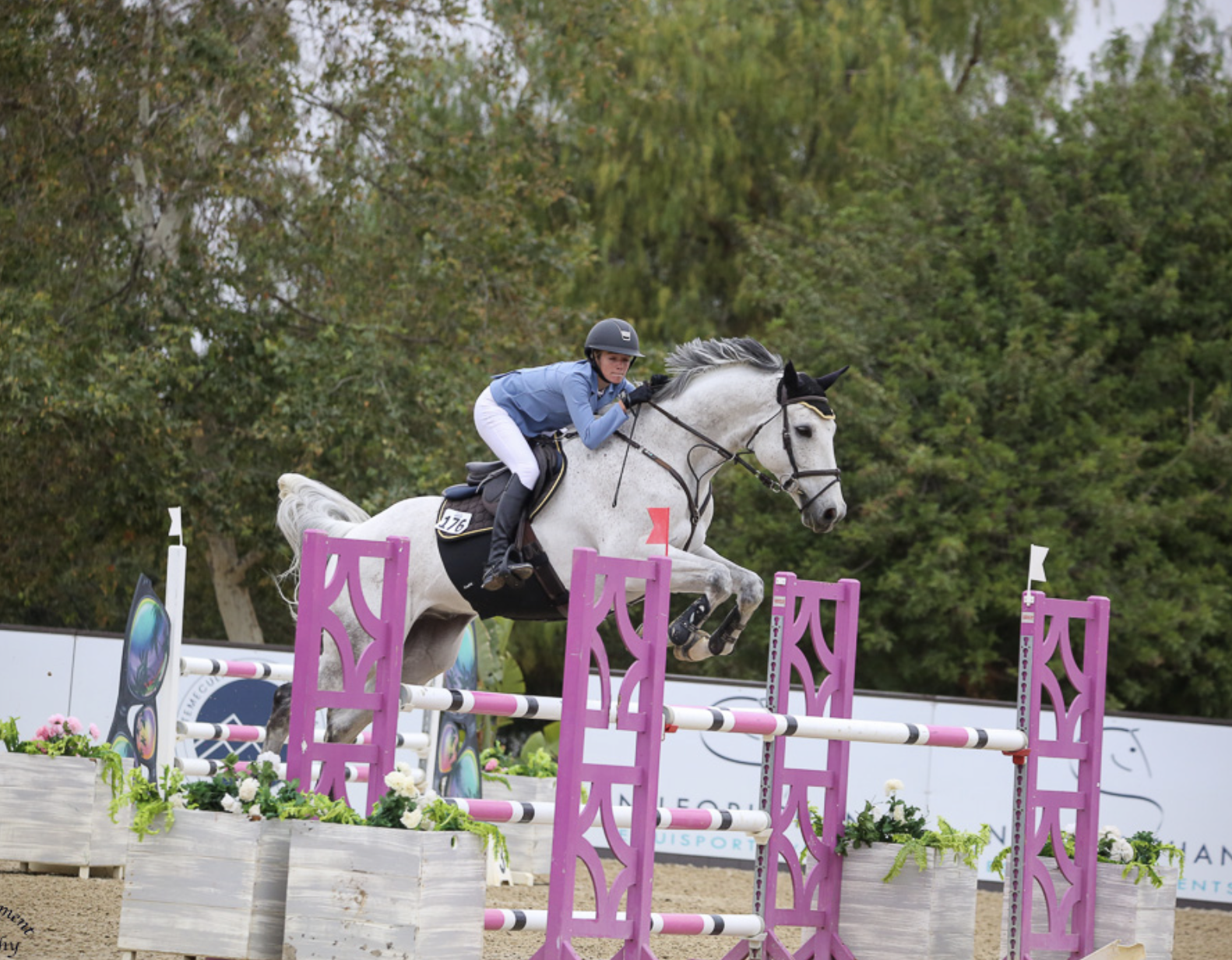 Screenshot 2026-02-18 at 12.39.25 PM.png