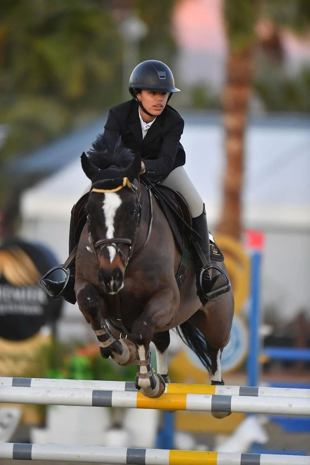 WhatsApp Image 2026-02-23 at 21.10.46 (2).jpeg