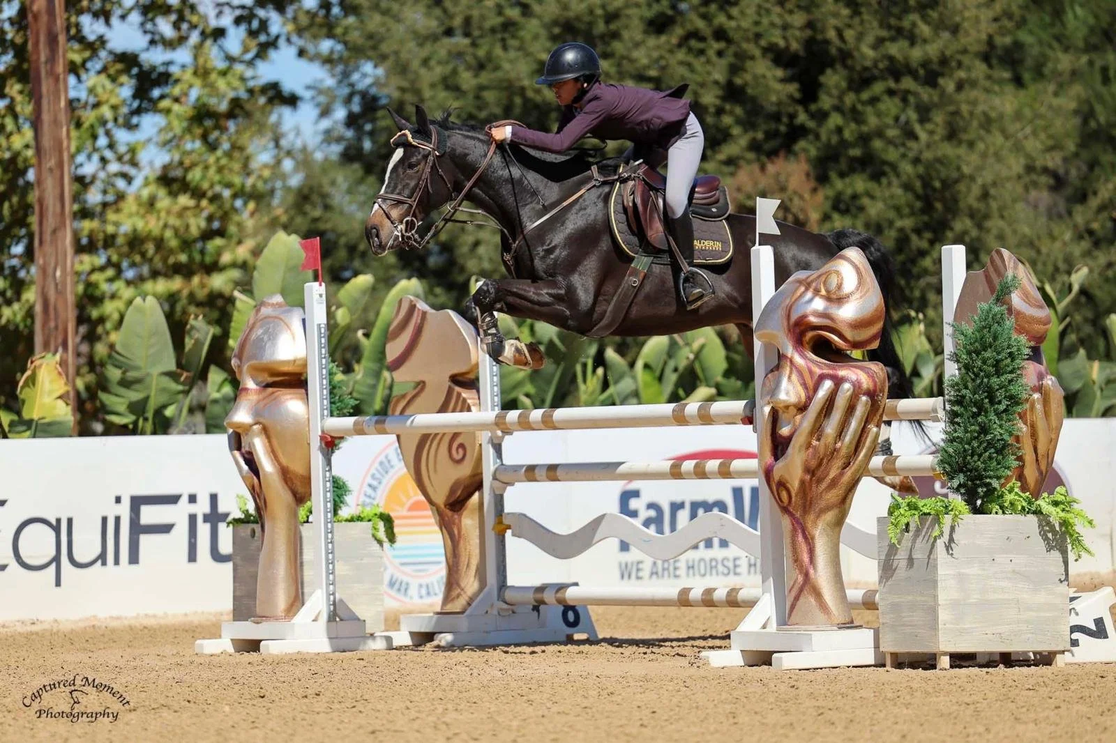 WhatsApp Image 2026-02-23 at 21.10.46 (4).jpeg